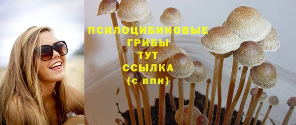 ECSTASY Арсеньев