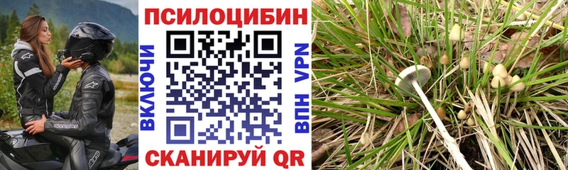 Галлюциногенные грибы прущие грибы  Соль-Илецк 